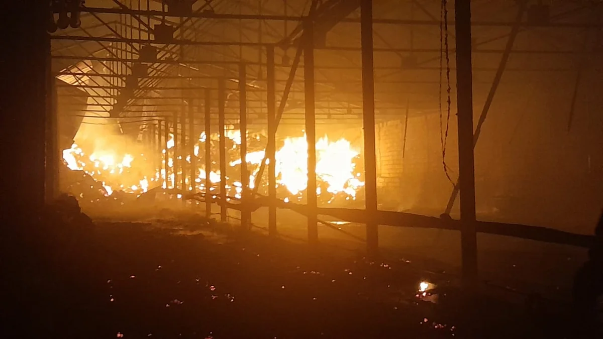 Lənkəranda ferma yanıb