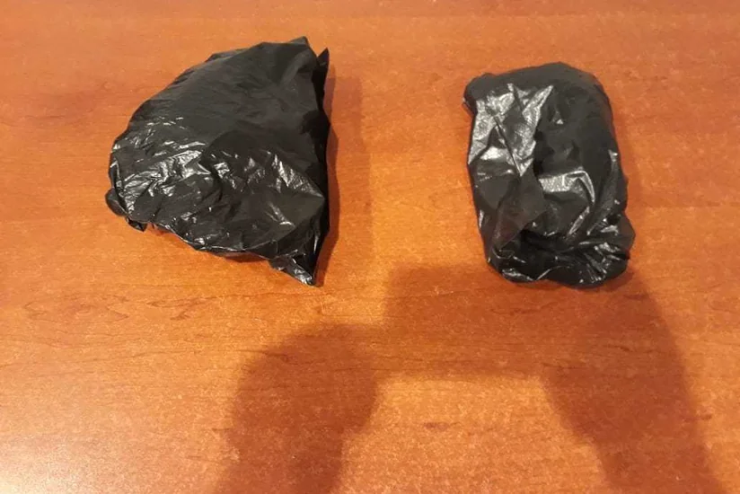 Azərbaycan gömrükçüləri ölkəyə dibçəkdə narkotik keçirilməsinin qarşısını alıb