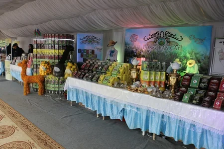 Lənkəranda III Çay, Çəltik, Sitrus Festivalı keçiriləcək - FOTO - VİDEO