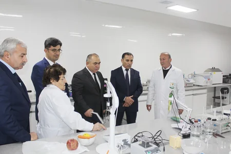 Kənd Təsərrüfatı Nazirliyi: 2020-ci ildə pambıqçılığın elmi əsaslarla inkişafı prioritet olacaq