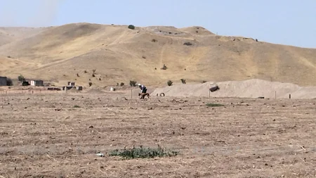 ANAMA-nın əməliyyat meneceri: Cəbrayılda minaaxtaran it öz sahibini qoruyarkən minaya düşərək ölüb