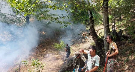 Zaqatala və İsmayıllıda yanğının qarşısı alınıb