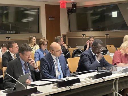 COP29 Presidency organizes UN Roundtable on Climate, Peace and Human Mobility