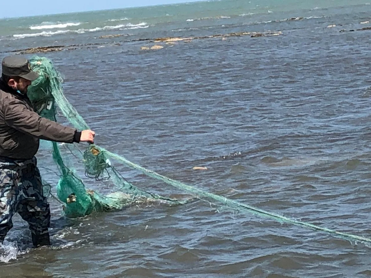 Водоемы Азербайджана очищают от запрещенных рыболовных снастей