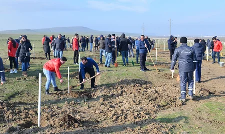 Təhsil Nazirliyi ağacəkmə aksiyası keçirib
