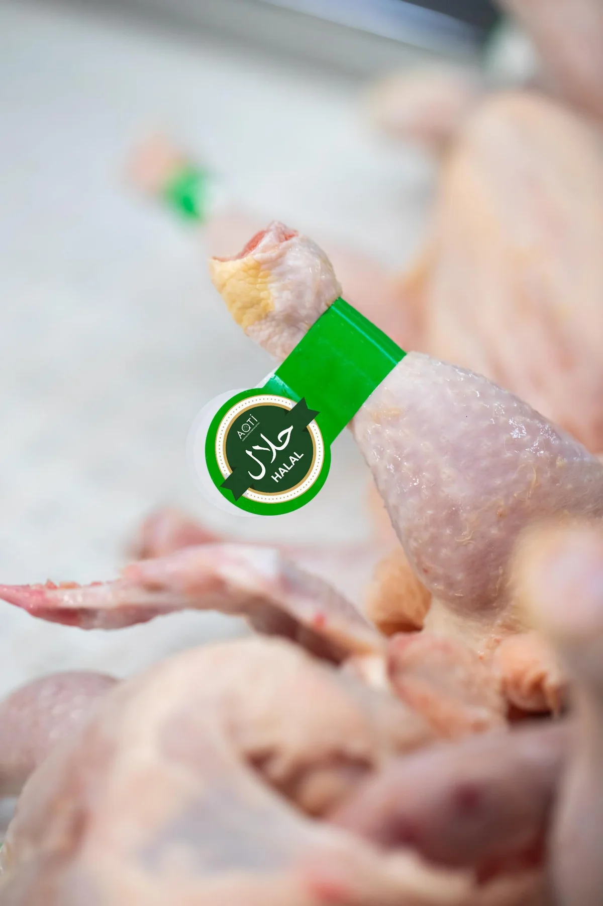 Daha 6 qida subyekti “HALAL” sertifikatlaşma ilə bağlı müraciət edib
