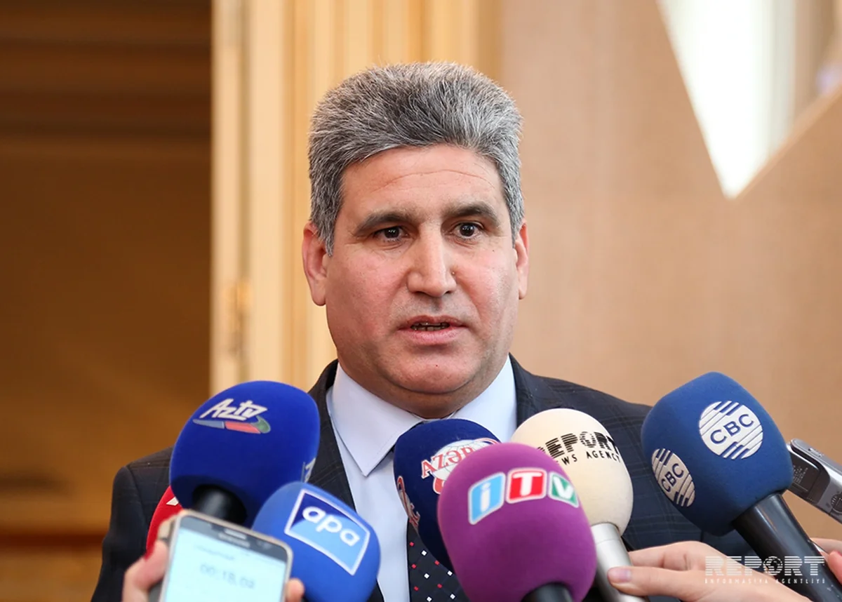 Eldar Samadov: One of Armenian saboteurs kept in Azerbaijan not a prisoner of war