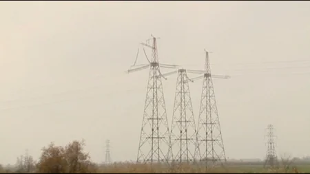 Yevlax və Daşkəsəndə qohumlar 10 min manatlıq elektrik naqilləri oğurlayıb
