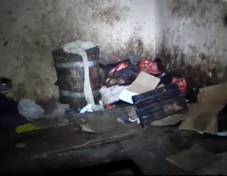 Təzə bazardakı gizli sexdə aşkarlanan yararsız ətlərin laboratoriya müayinələri açıqlanıb