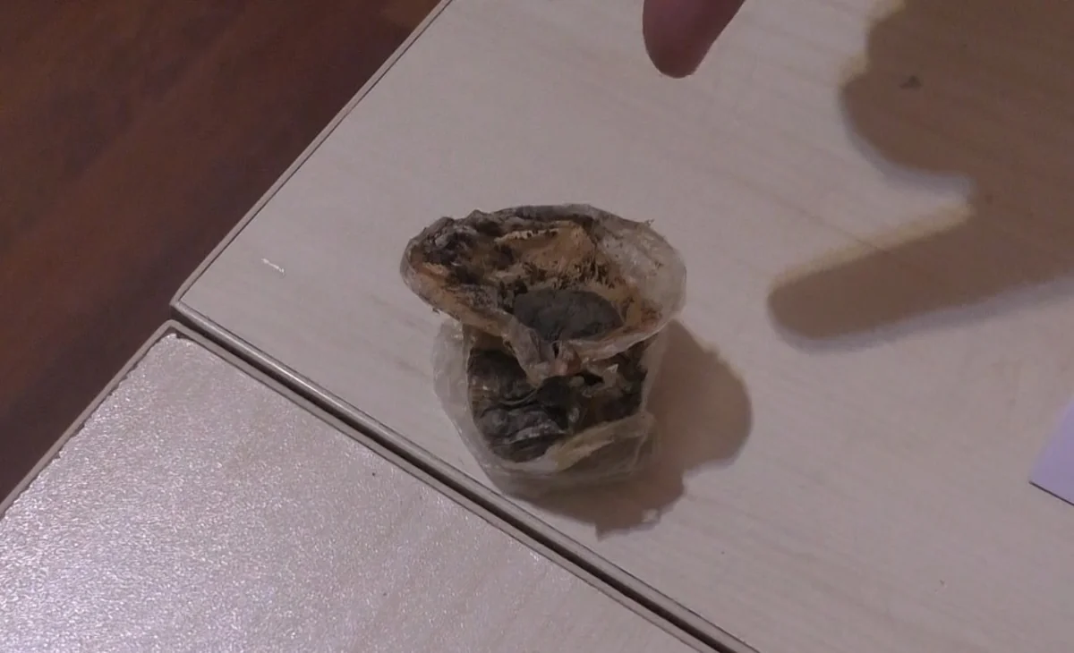 У жителя Газаха изъяли героин