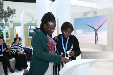 На COP29 представлены павильоны разных стран