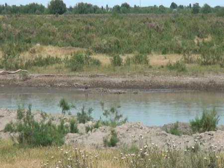 ​Araz çayında su azalıb - FOTO