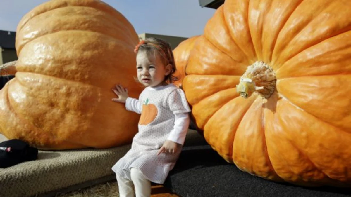 U.S. farmer wins giant pumpkin contest with $12,000