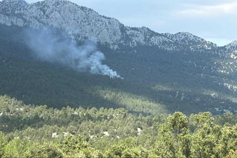 Antalyada meşə yanır