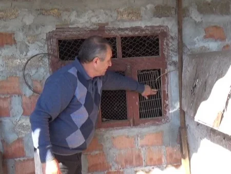 Cəlilabadda dəyəri 5 min manatdan çox olan ev quşları oğurlanıb