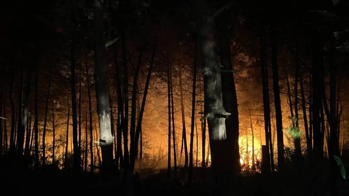 Türkiyədə meşə yanğını olub