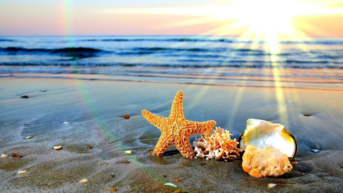 Azərbaycana yay fəsli daxil olub