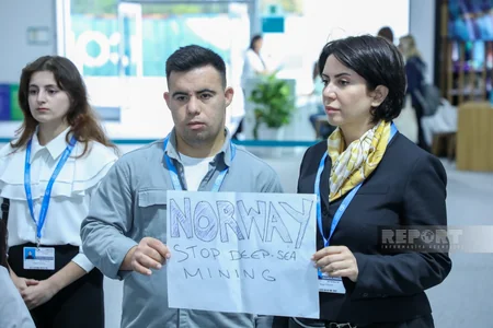 İsveçrə, Kanada və Böyük Britaniya ekofəalları COP29-da balina ovuna qarşı etiraz aksiyası keçirib