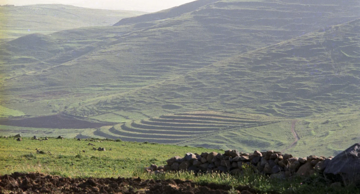 ​Mass Grave Containing 75 Bodies Discovered in Eastern Syria: Reports