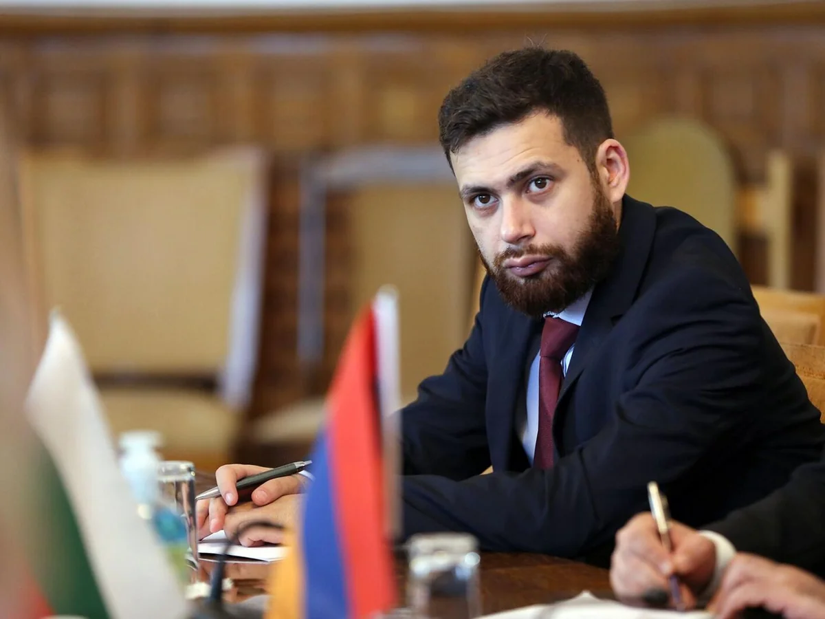 Замглавы МИД Армении обсудил с главой подкомитета ЕС нормализацию связей с Анкарой и Баку
