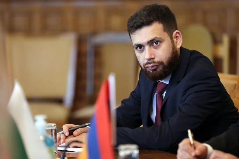 Замглавы МИД Армении обсудил с главой подкомитета ЕС нормализацию связей с Анкарой и Баку