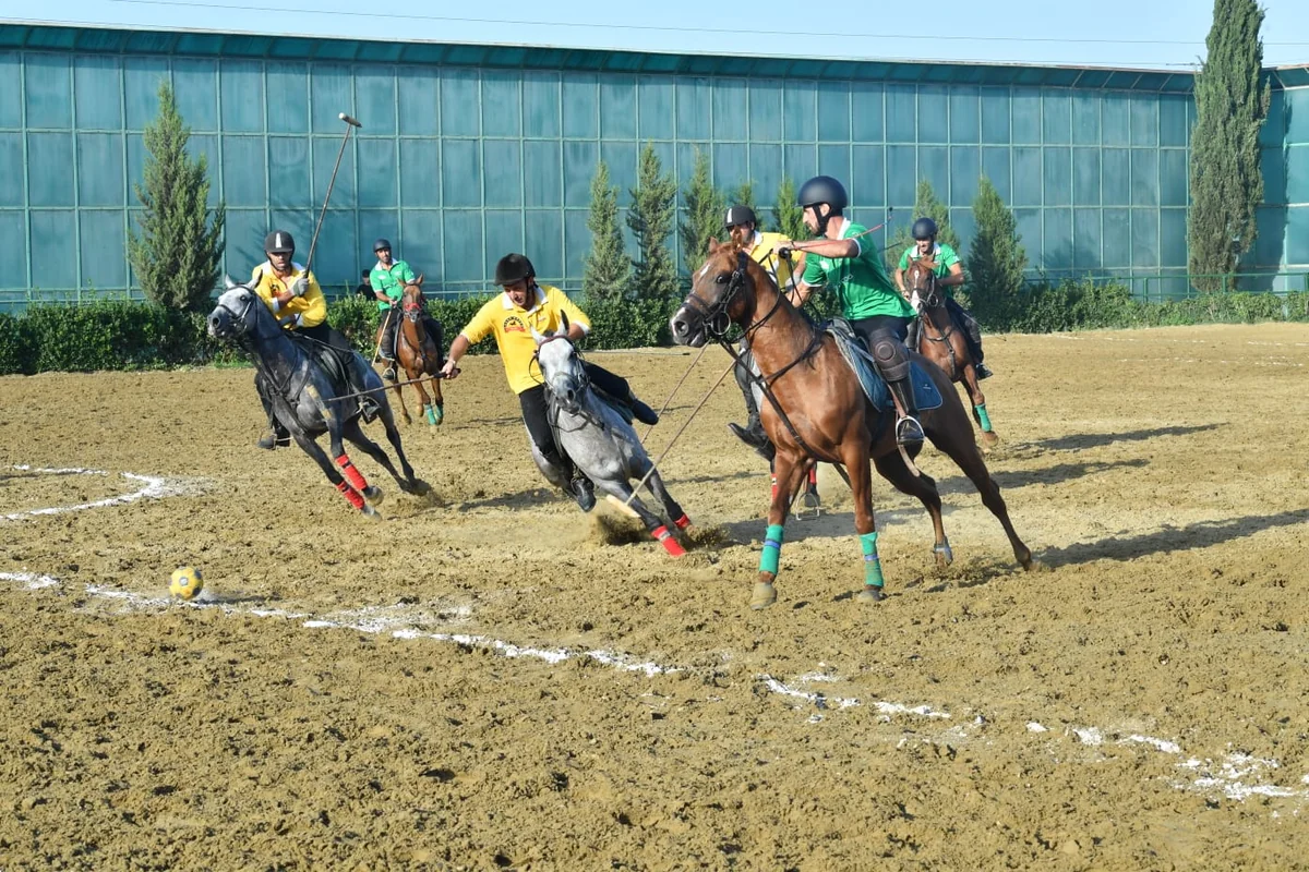 Peşəkar Çövkən Liqasının IV turunun növbəti oyunları keçirilib