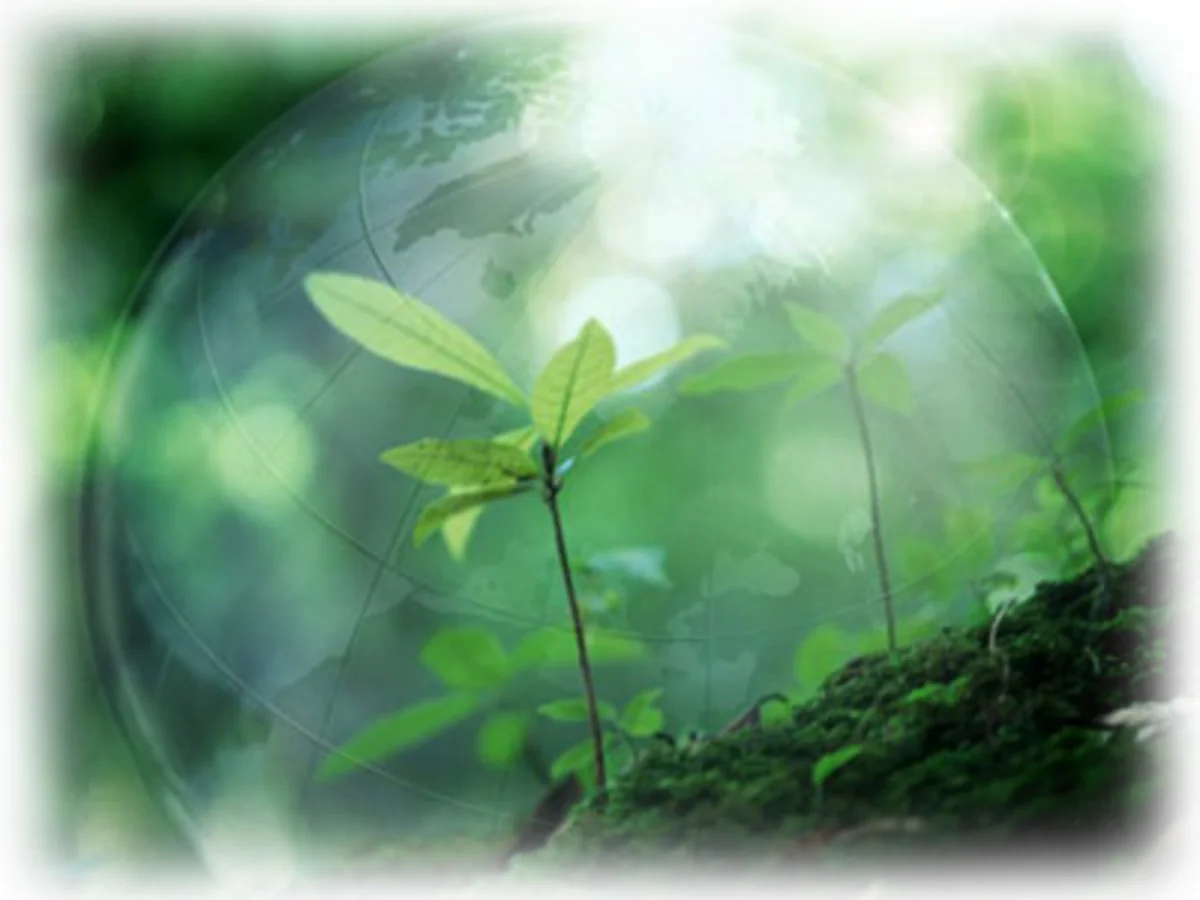 ​GUAM countries will study Japan's experience in environmental protection