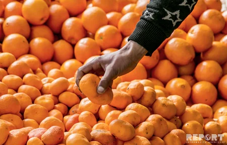 Bakıda açılan bayram yarmarkalarının sayı 8-ə çatıb - FOTOREPORTAJ