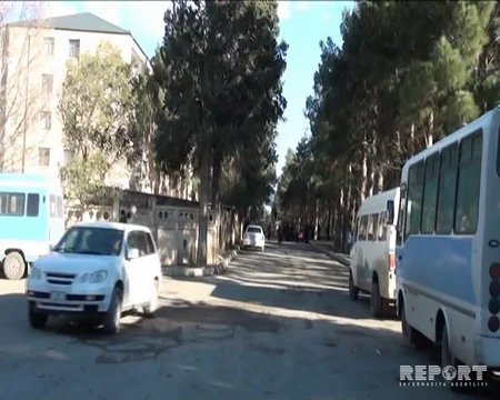Naftalanda avtomobilin üzərinə ağac aşıb, yolda hərəkət dayanıb - FOTO