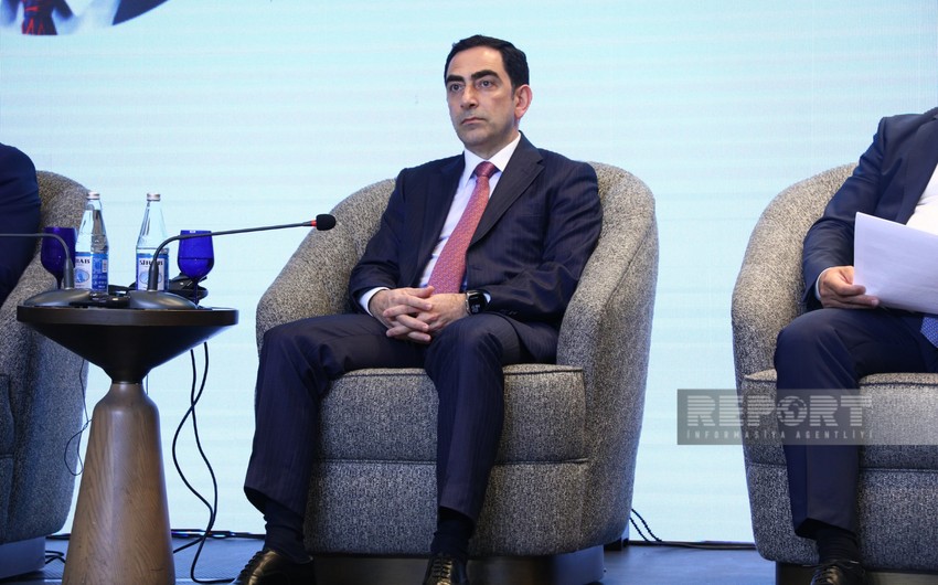 Taleh Ziyadov: “Bakı Limanı Aİ ilə birgə 8 layihə icra edib”
