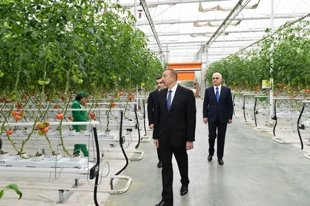 Prezident İlham Əliyev Zirə qəsəbəsində “BAKU AGROPARK”da görülən işlərlə tanış olub