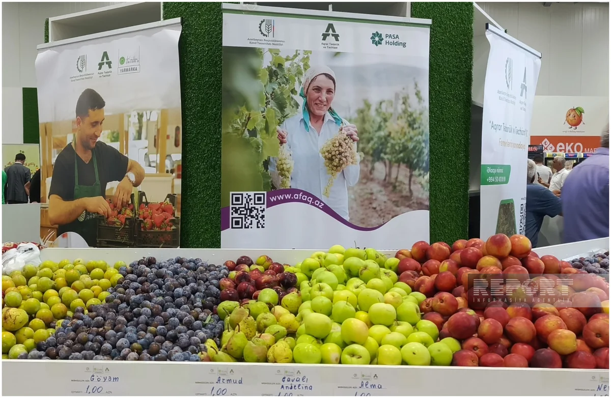 Xaçmazda Aqrar Biznes və Şaftalı Festivalı keçirilib