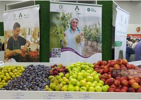 Xaçmazda Aqrar Biznes və Şaftalı Festivalı keçirilib