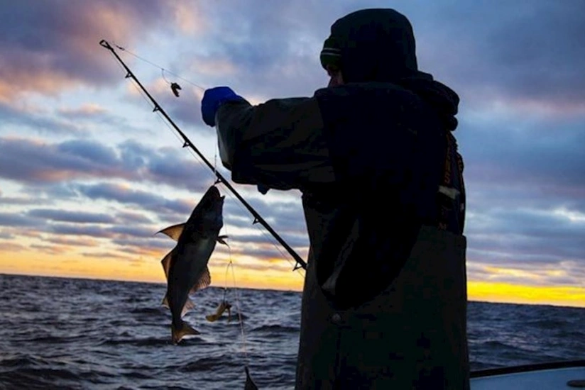 Nazirlik balıq ovu ilə bağlı əhaliyə çağırış edib