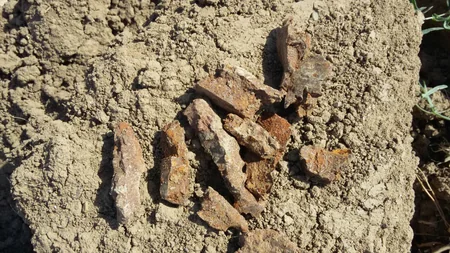 ​Lənkəranda dəniz sahilində 7 ədəd tank əleyhinə təlim minası aşkarlanıb