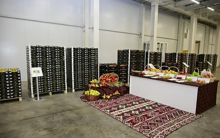 President Ilham Aliyev inspects operations of horticulture and cold storage complex in Gusar District
