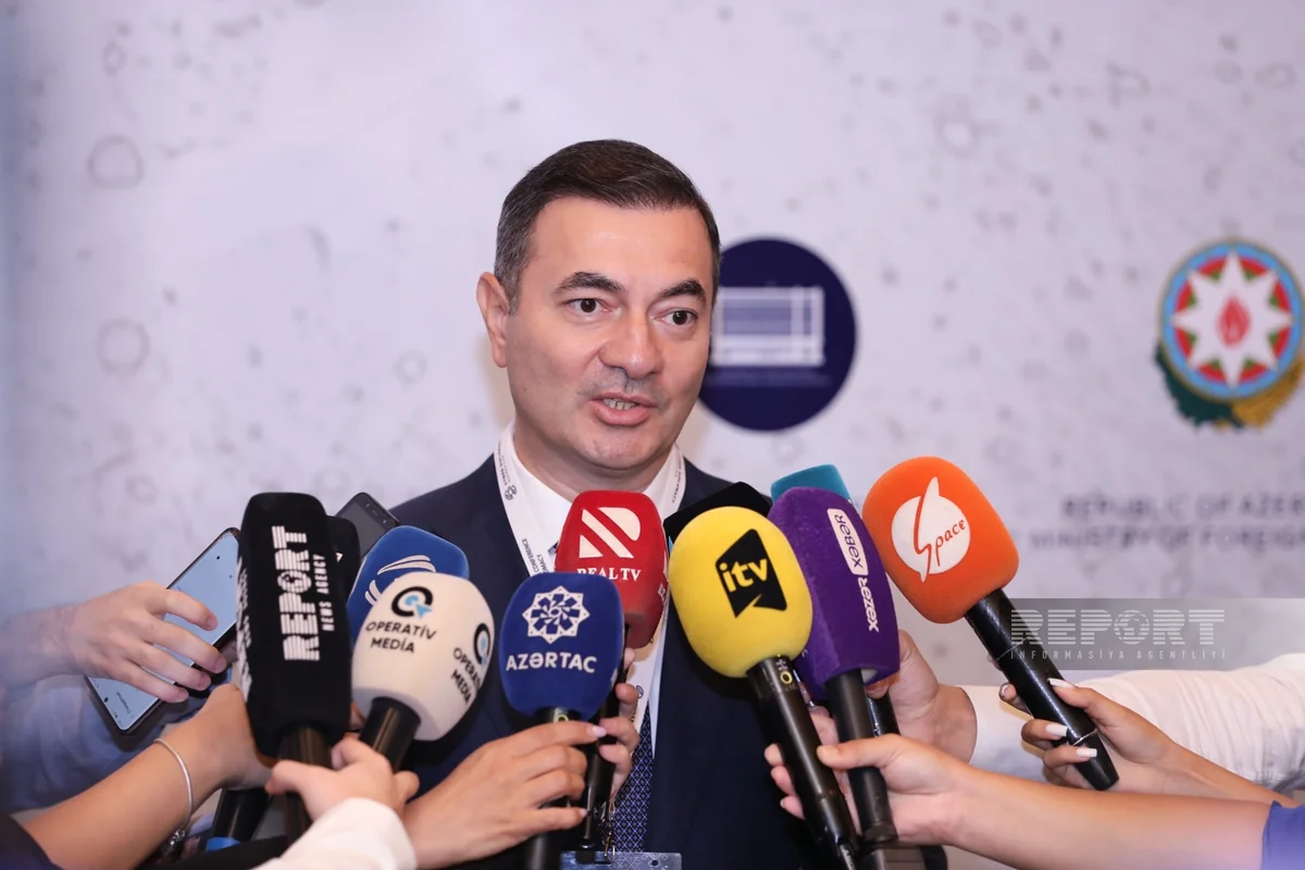 İlqar Musayev: “COP29 ilə bağlı saxta xəbərlər yayılır”