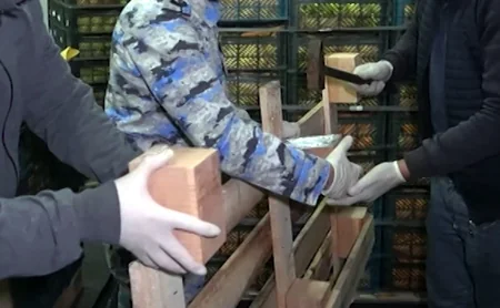 Сотрудники ГТК пресекли контрабанду почти 32 кг марихуаны транзитом через Азербайджан
