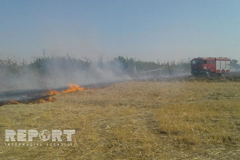Siyəzəndə biçilmiş əkin sahələrindəki yanğın söndürülüb