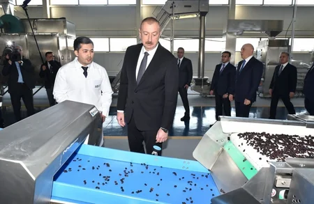 Tovuzda “ASAN Həyat” kompleksi istifadəyə verildi - YENİLƏNİB