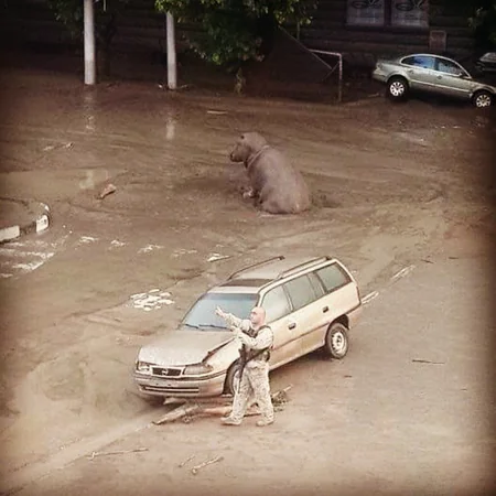 ​Tbilisidə zooparkdan qaçan sonuncu heyvan da tapılıb