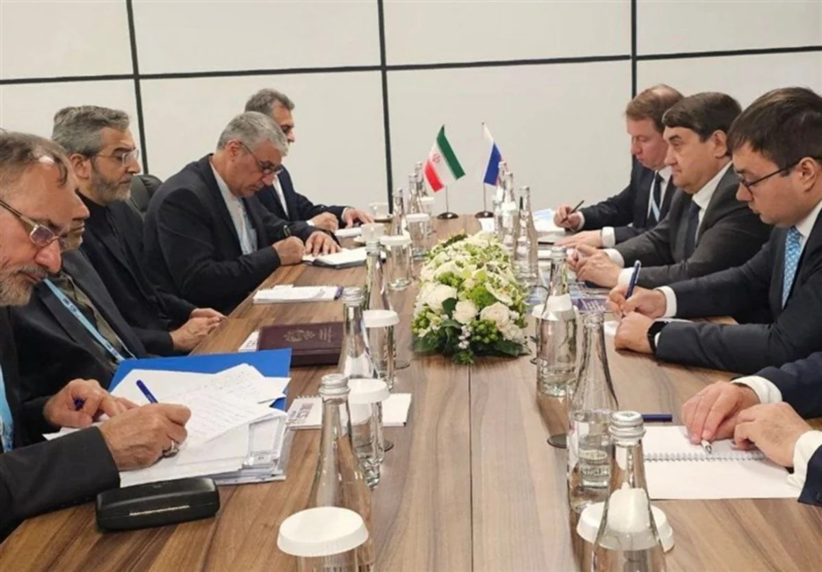 Iranian acting foreign minister meets with Russian presidential aide