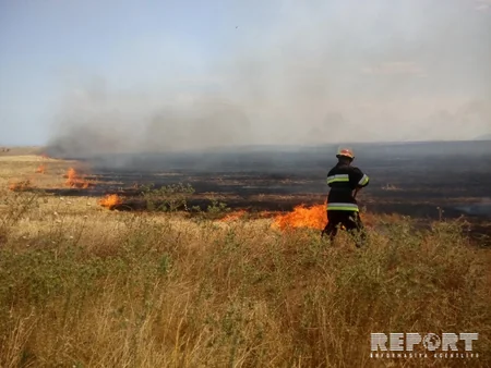 Fire occurred at Khaltan cemetery of Shabran region