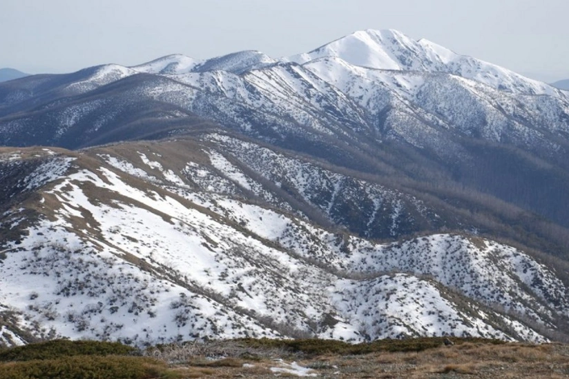 Political scientist: If Zangazur corridor is not opened, Azerbaijan must close Lachin corridor