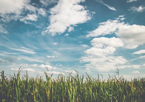 Azerbaijan weather forecast for August 9
