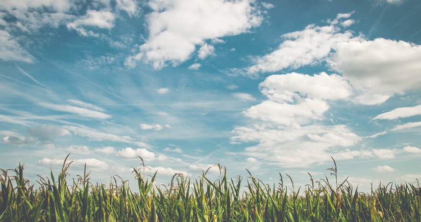 Azerbaijan weather forecast for August 9