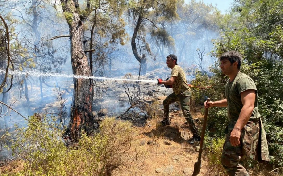 196 fires brought under control in Turkey