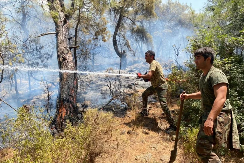 196 fires brought under control in Turkey