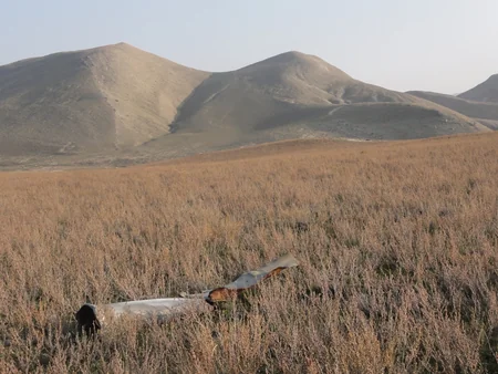 Xızıda 23 ədəd partlamamış hərbi sursat, 110 ədəd mərmi qalıqları tapılıb