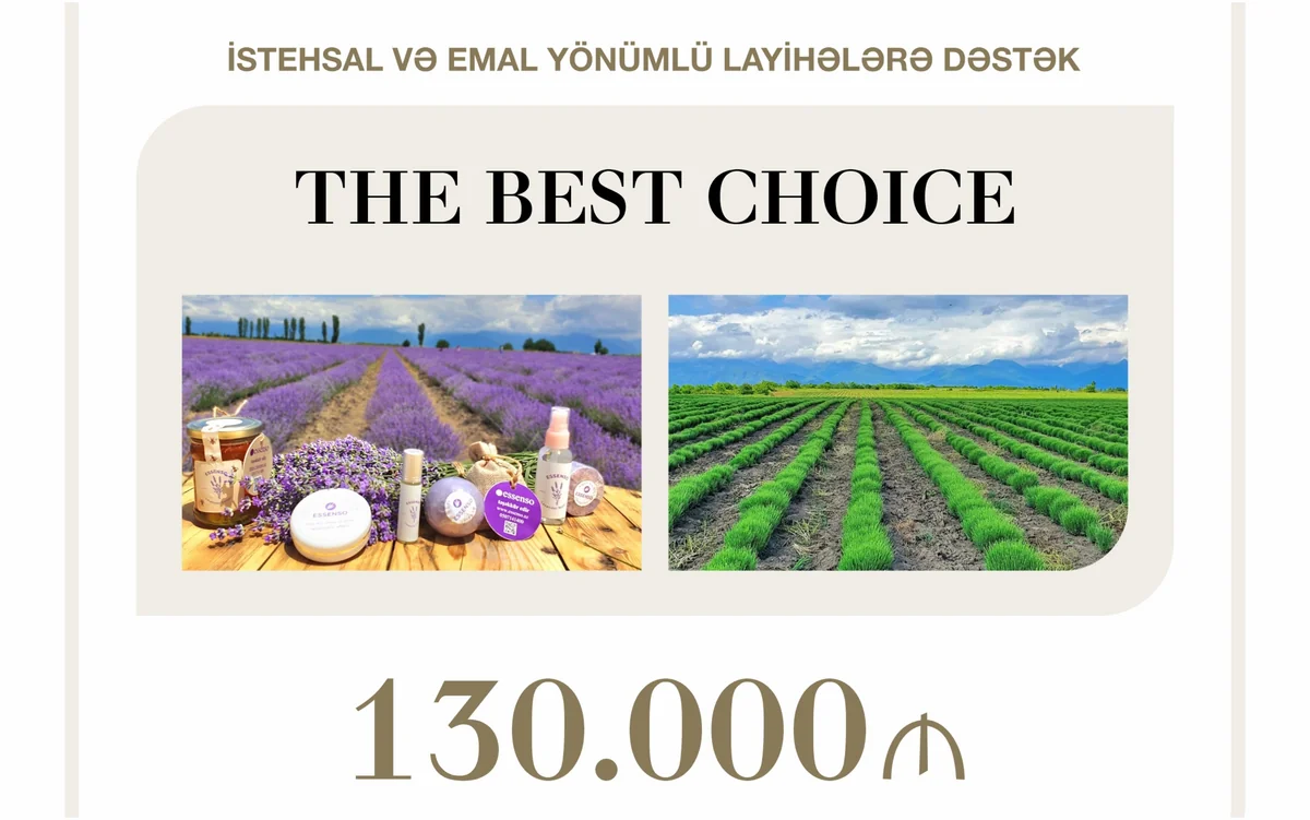 Qəbələdə lavanda yağının istehsalçısına güzəştli kredit verilib